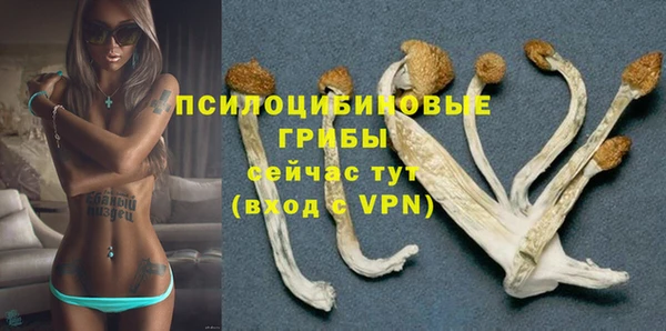 крисы Алексин