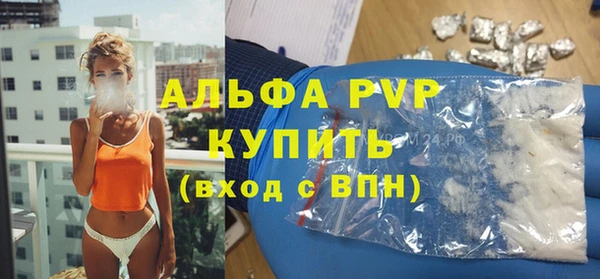 крисы Алексин