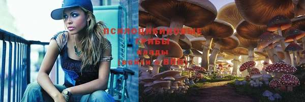 крисы Алексин